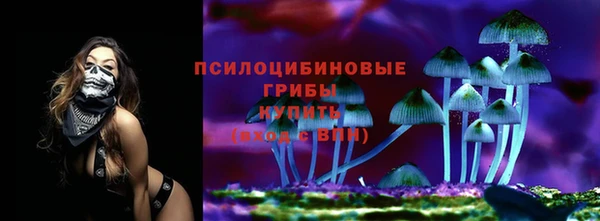mdpv Верея