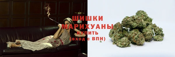 стафф Верхний Тагил