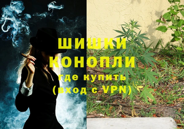 стафф Верхний Тагил
