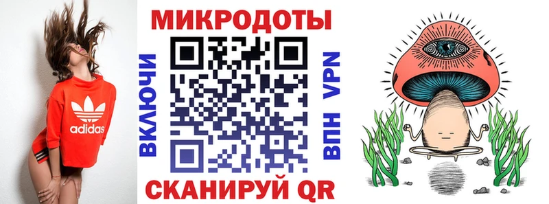 Купить закладки  Приволжск  Псилоцибиновые грибы мицелий 