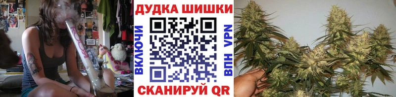 Купить закладки  Приволжск  Конопля тримм 